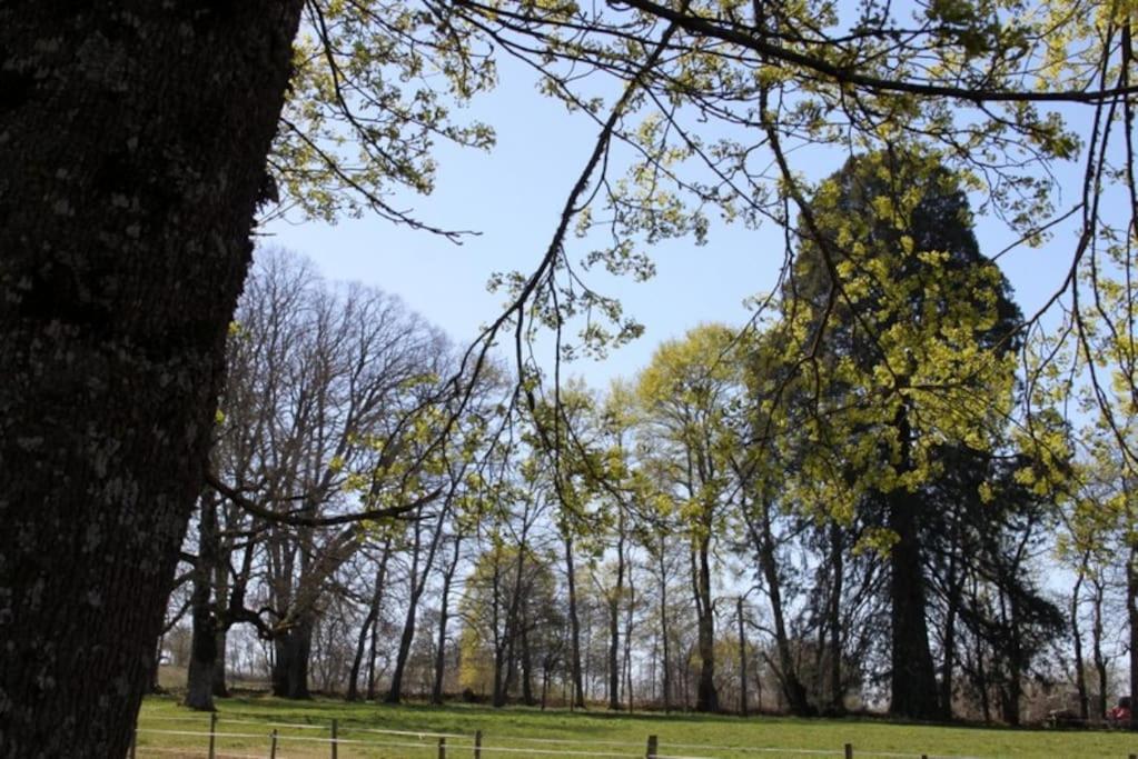 Les gîtes de Recoleine Nébouzat Extérieur photo