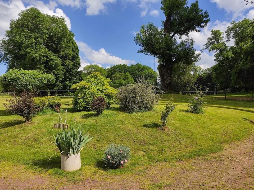 Les gîtes de Recoleine Nébouzat Extérieur photo